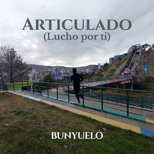 Articulado (Lucho por ti)