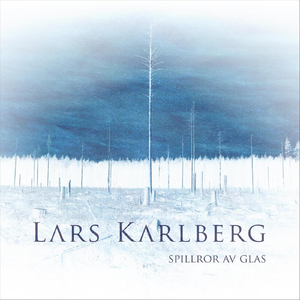 Spillror av glas