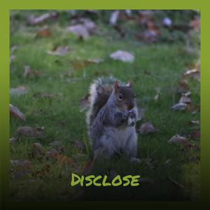 Disclose