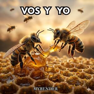 Vos y yo