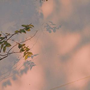 醒不来的梦（温柔版）