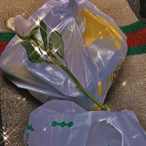 唯爱独白(feat.木儿）