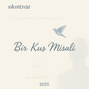 Bir Kuş Misali