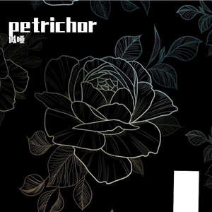 湖心夜的星光幻梦