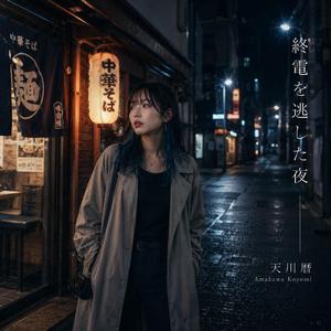 終電を逃した夜