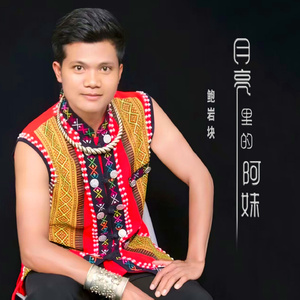 月亮里的阿妹 (Dj阿俊版)