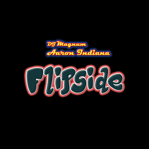 Flipside