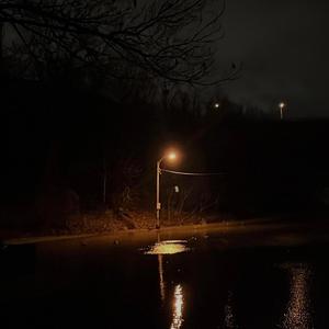 elmira