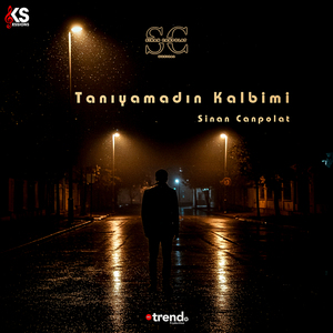 Tanıyamadın Kalbimi