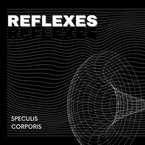 Reflexes