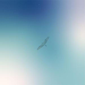 Ascension