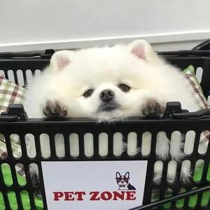 我的果汁分你一半（cover：花儿乐队）