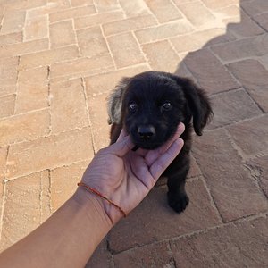 黄昏时分坠入爱河