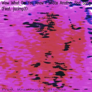 Wow What Do You Know I Wrote Another Sad Song