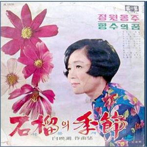 달밤