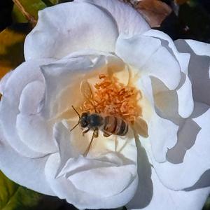 Spaces (With Mike Mangalindan)