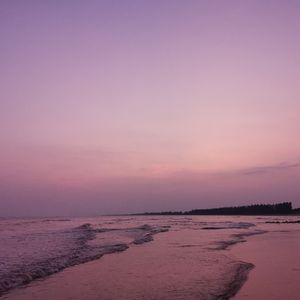 解情还须系情人