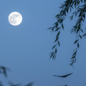 天光微亮及温柔