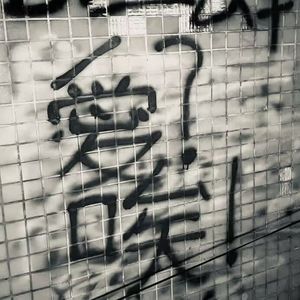 这个冬天还是有点冷