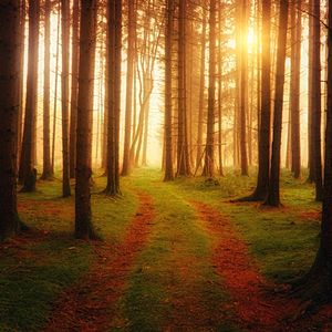 Sussurros do Crepúsculo