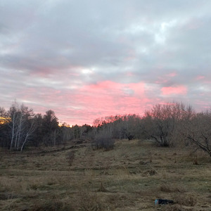 запрети