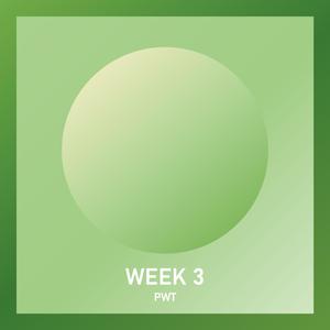 Week 3