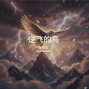 逆飞的鸟