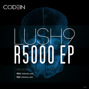 R501 (Original Mix)