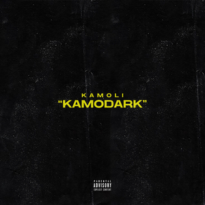 Kamodark