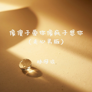 像傻子爱你像疯子想你(走心男版)