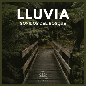 Lluvia: Sonidos del Bosque (P89)