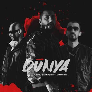 Dünya