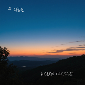 我眼里的雨（你已不在意）