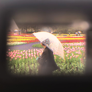 バンドマンの唄