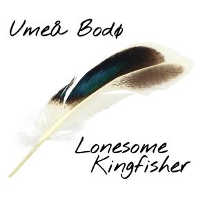 Lonesome Kingfisher
