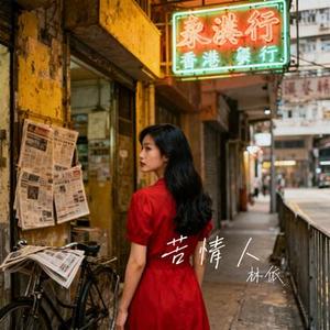 苦情人 (林依 Remix)