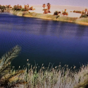 砂漠のオアシス