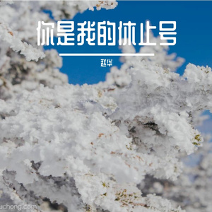 你是我的休止号