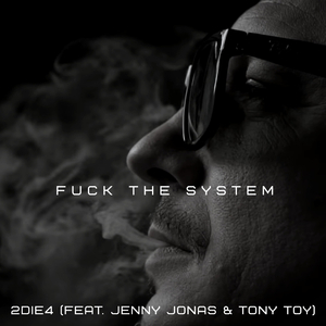**** the System