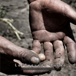 Hojas al Viento (En Vivo)