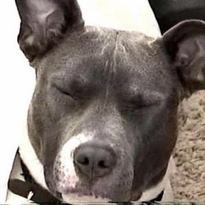 dont sleep (feat. Jetrin)