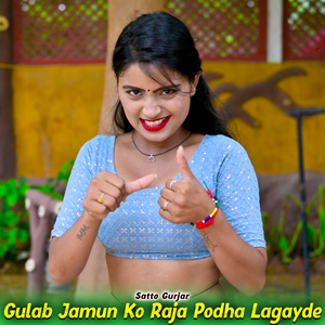 Gulab Jamun Ko Raja Podha Lagayde