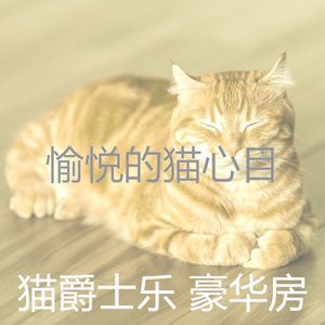 精彩小猫环境