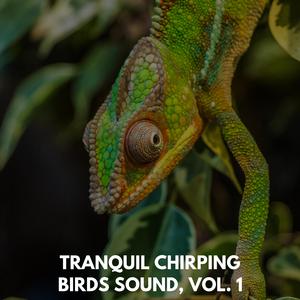 Shady Ocean Waves and Forest Rocks