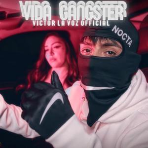VIDA GANGSTER