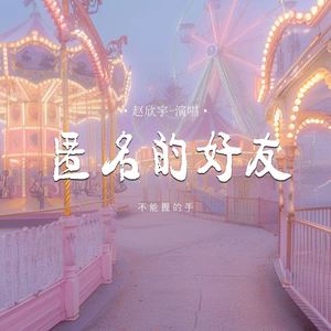 匿名的好友 (不能握的手)