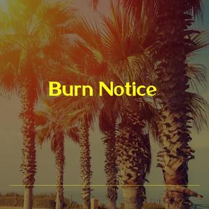 Burn