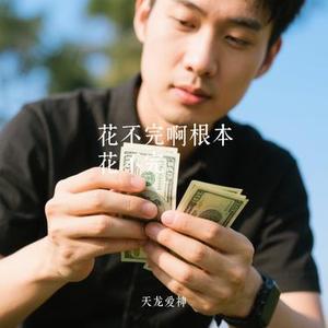 花不完啊根本花不完