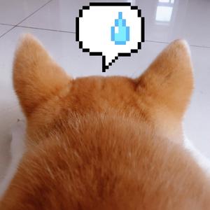 白狐公子-【阴阳师晴明同人歌】