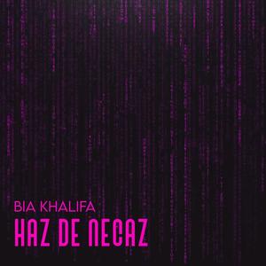 haz de necaz